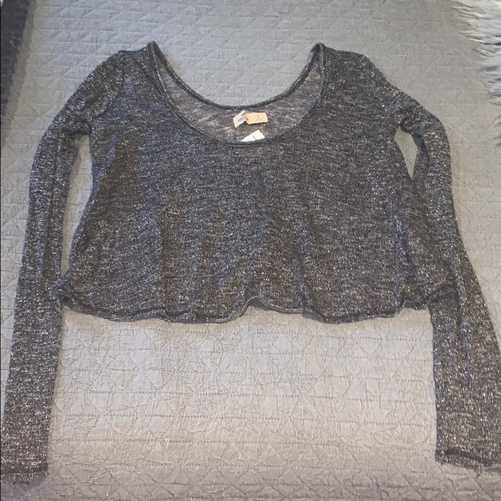 Sparkle Hollister Gray Long Sleeve Crop Top